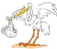stork